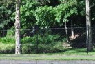 Oaky Creekchainlink-fencing-9.jpg; ?>